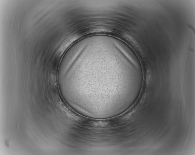 X0000100421321200806201814
