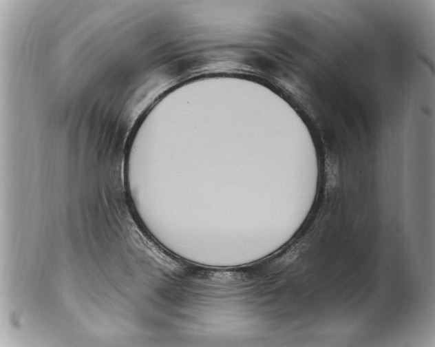 X0000100421322200806201814