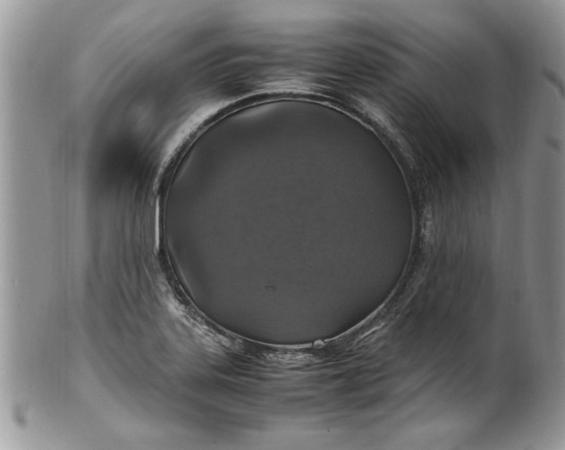 X0000100421323200806201814