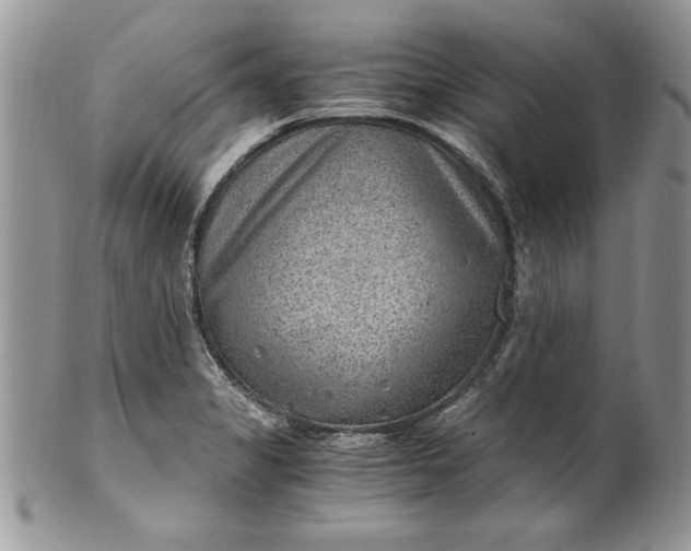 X0000100421325200806201814