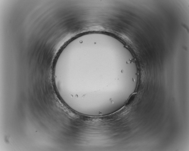 X0000100421326200806201814