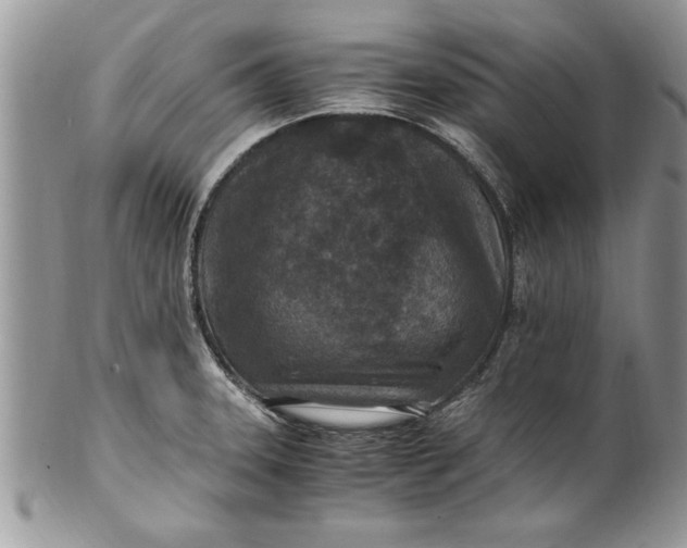 X0000100421331200806201814