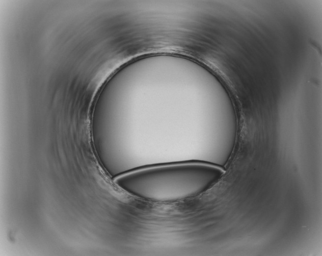 X0000100421332200806201814