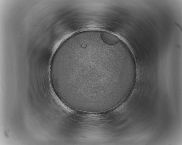 X0000100421333200806201814