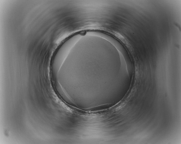 X0000100421334200806201814