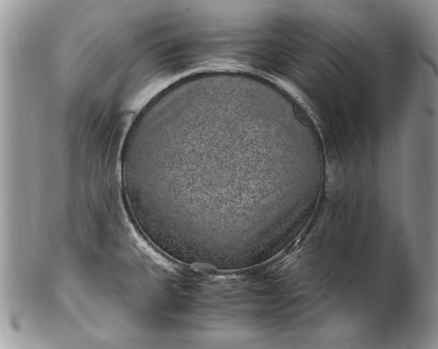 X0000100421335200806201814