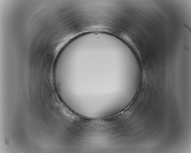 X0000100421336200806201814