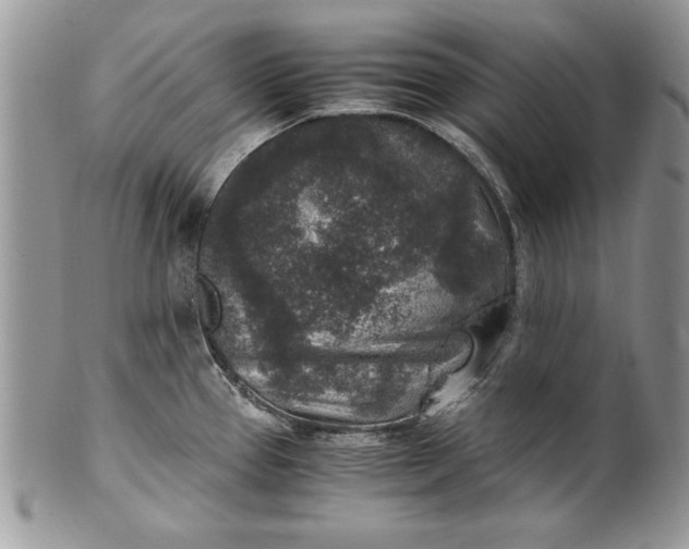 X0000100421337200806201814