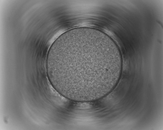 X0000100421338200806201814