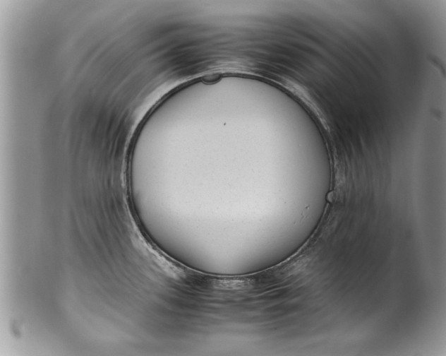 X0000100421339200806201814
