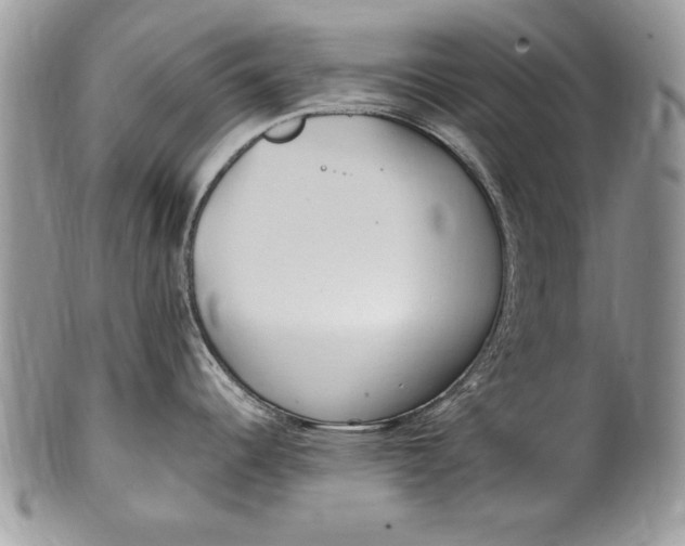X0000100421344200806201814