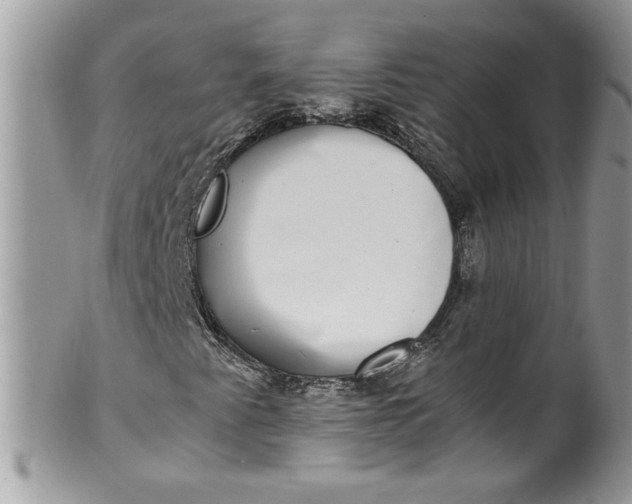 X0000100421345200806201813
