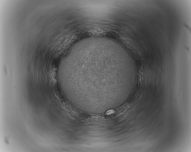 X0000100421346200806201813