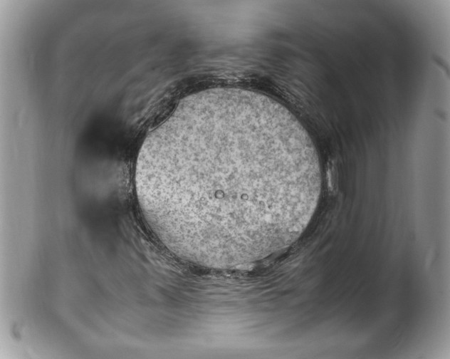 X0000100421347200806201813