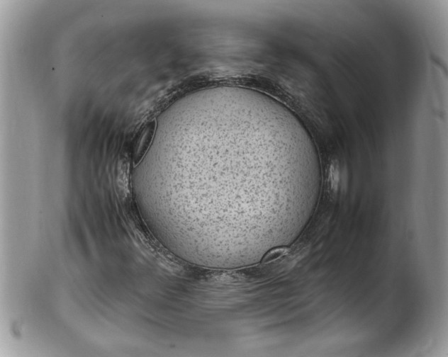 X0000100421348200806201813
