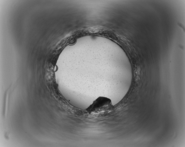 X0000100421349200806201813