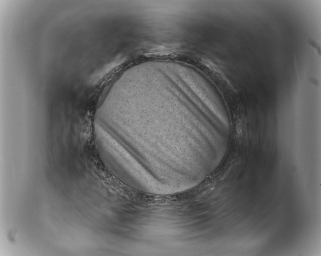 X0000100421350200806201813