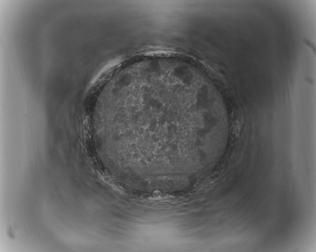 X0000100421351200806201813