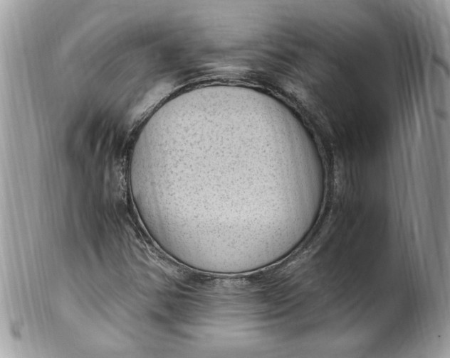 X0000100421354200806201813