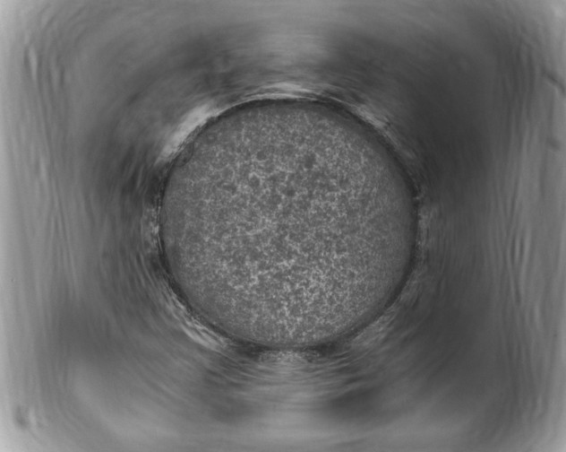 X0000100421355200806201813