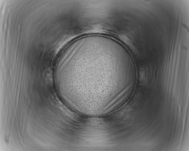 X0000100421356200806201813