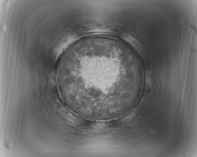 X0000100421357200806201813