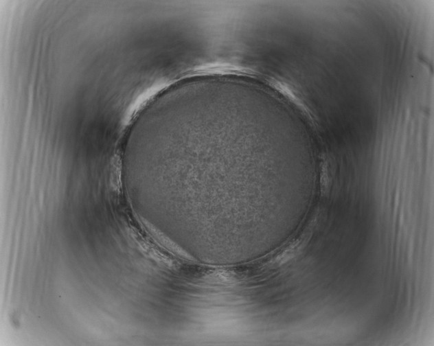 X0000100421358200806201813