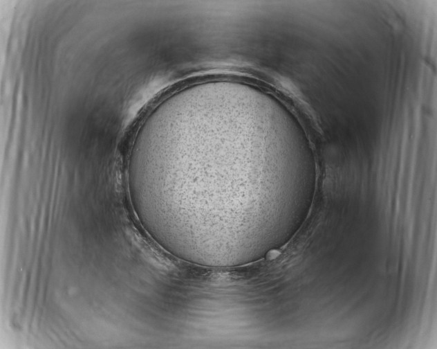 X0000100421360200806201813