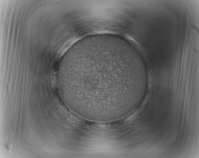 X0000100421361200806201813