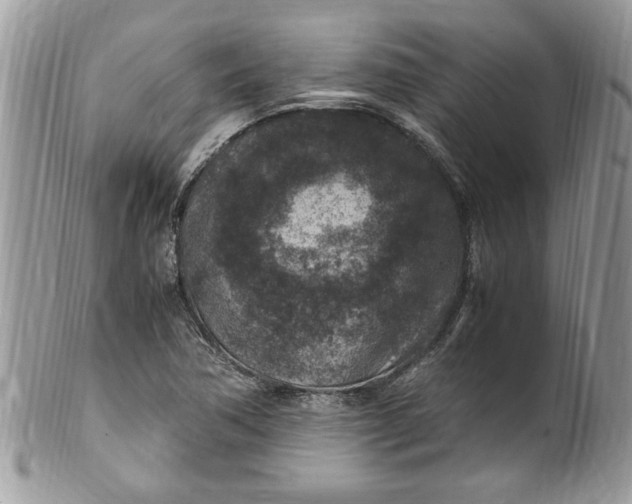X0000100421362200806201813