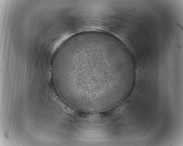 X0000100421363200806201813
