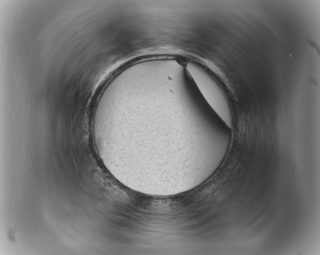 X0000100421364200806201813