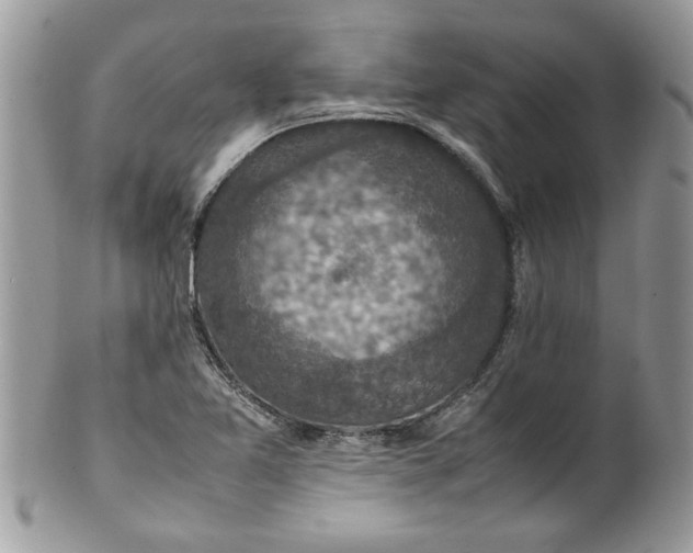 X0000100421365200806201813