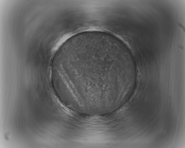 X0000100421367200806201813