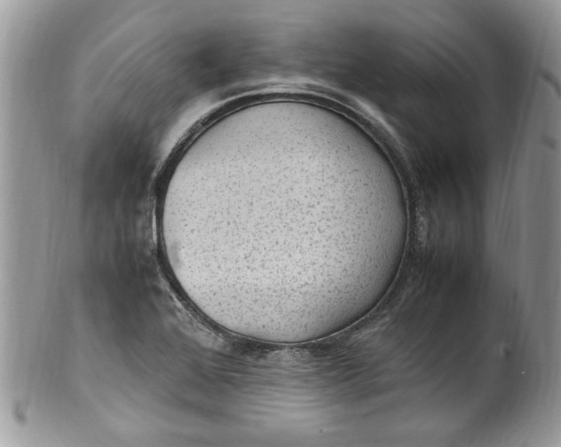 X0000100421368200806201813