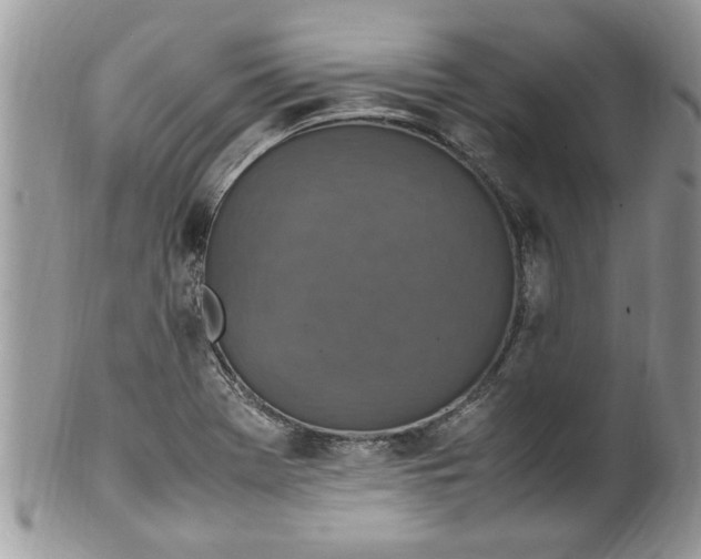 X0000100421369200806201813