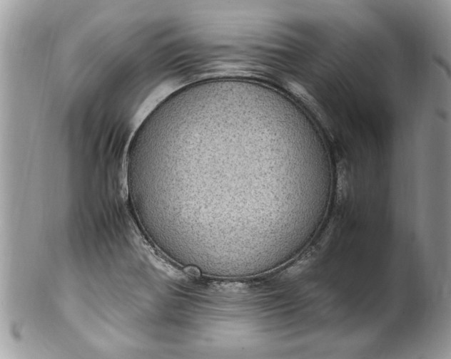 X0000100421370200806201813
