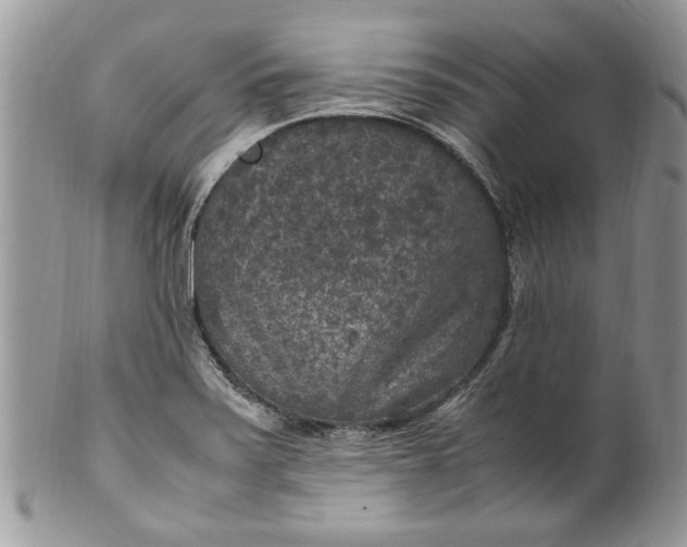 X0000100421371200806201813
