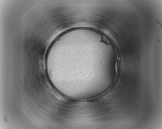 X0000100421372200806201813
