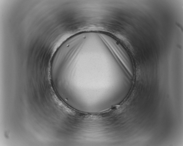 X0000100421374200806201813