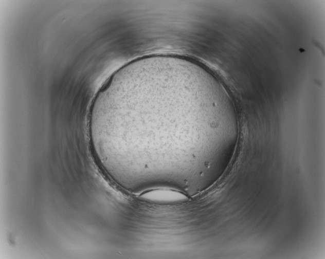X0000100421375200806201813