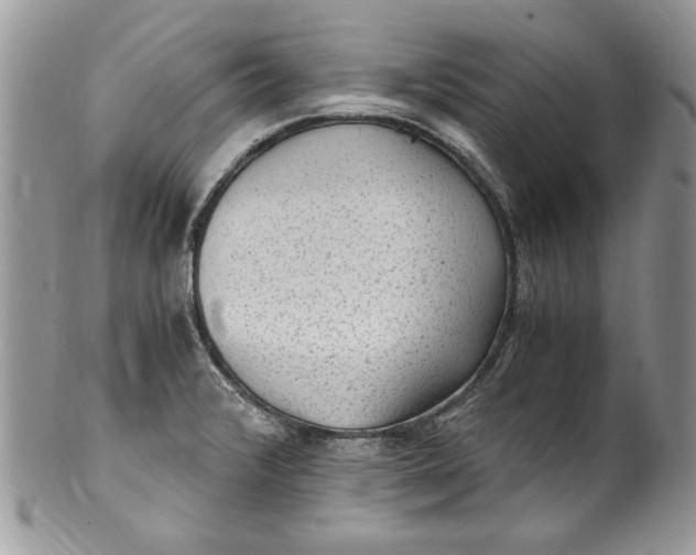 X0000100421376200806201813