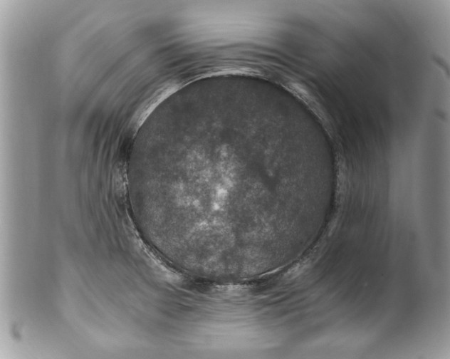 X0000100421377200806201813