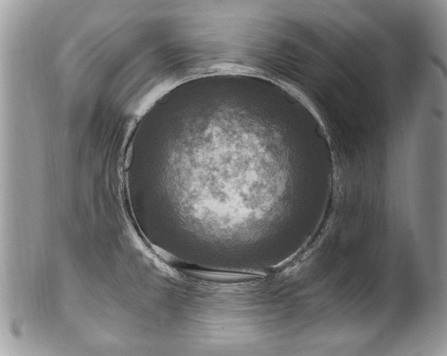 X0000100421381200806201813