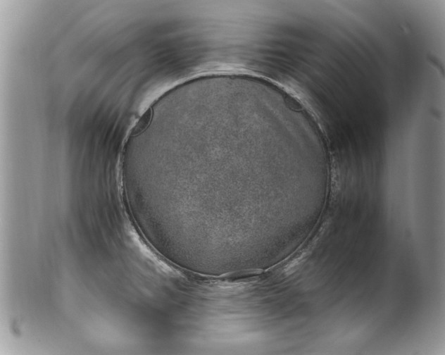 X0000100421382200806201813