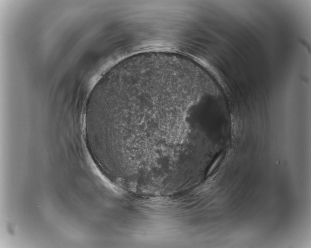 X0000100421383200806201813