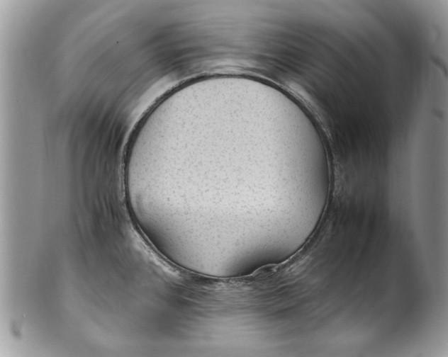 X0000100421384200806201813