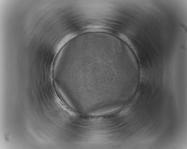 X0000100421386200806201813