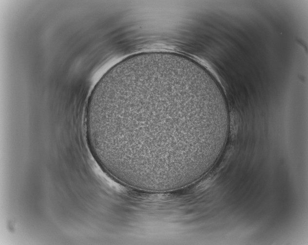 X0000100421387200806201813