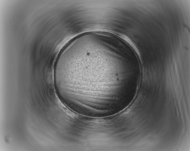 X0000100421388200806201813